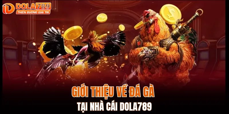 Giới thiệu về đá gà tại nhà cái DOLA789