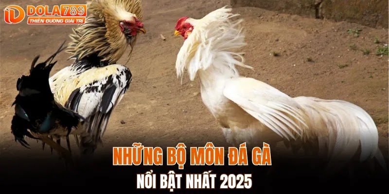 Những bộ môn đá gà nổi bật nhất 2025