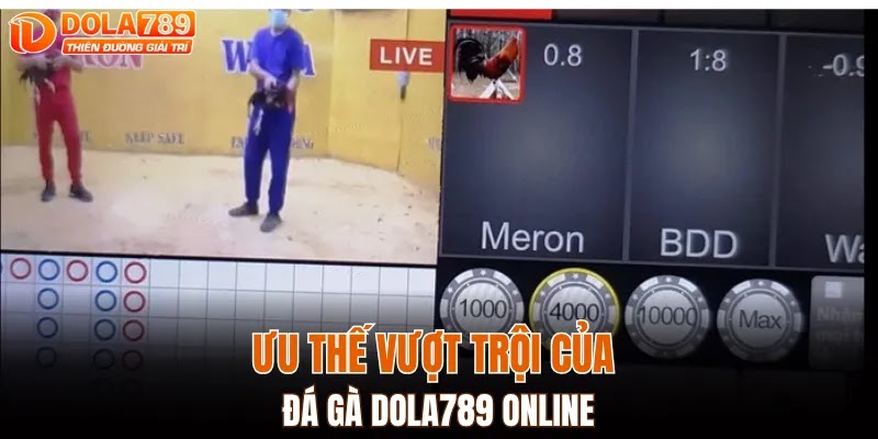 Ưu thế vượt trội của đá gà Dola789 online