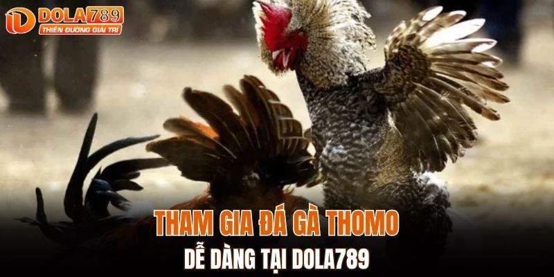 Tham gia đá gà Thomo dễ dàng tại DOLA789