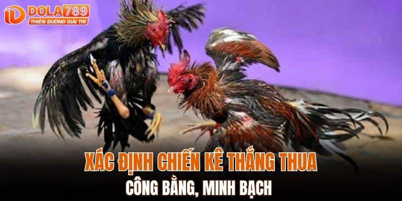 Xác định chiến kê thắng thua công bằng, minh bạch