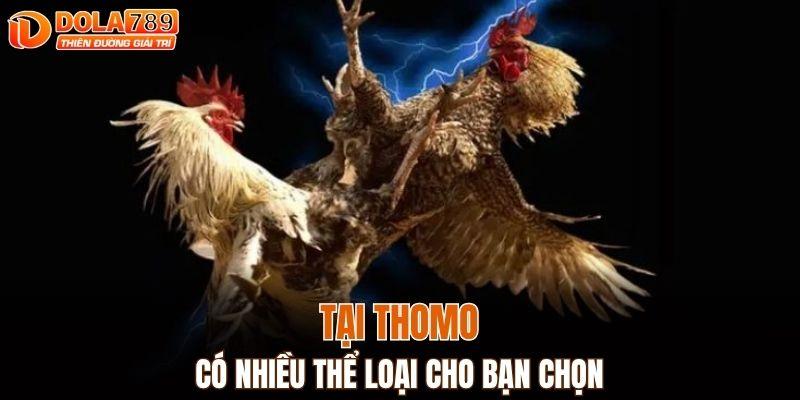 Tại Thomo có nhiều thể loại cho bạn chọn