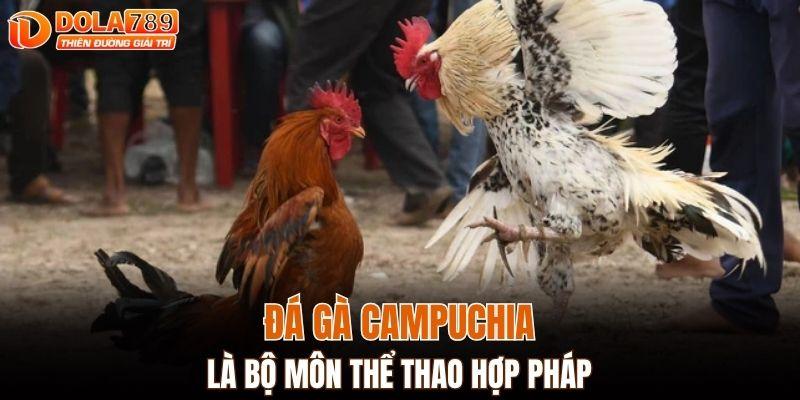 Đá gà Campuchia là bộ môn thể thao hợp pháp