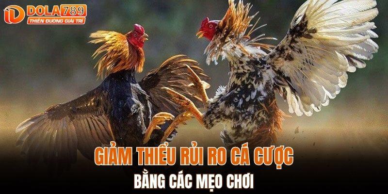 Giảm thiểu rủi ro cá cược bằng các mẹo chơi