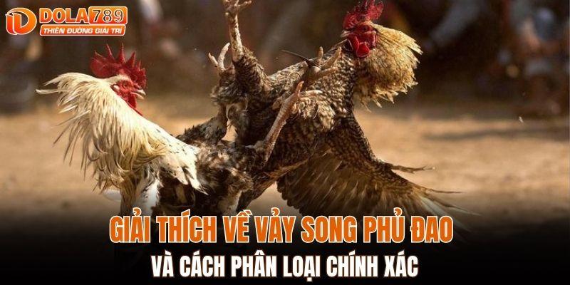 Giải thích về vảy song phủ đao và cách phân loại chính xác