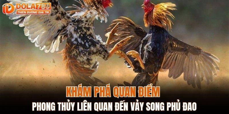 Khám phá quan điểm phong thủy liên quan đến vảy song phủ đao