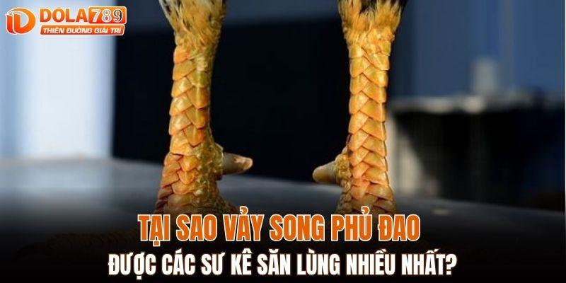 Tại sao vảy song phủ đao được các sư kê săn lùng nhiều nhất?