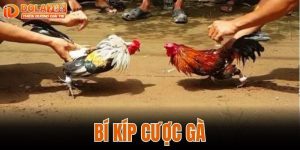 BÍ KÍP CƯỢC GÀ