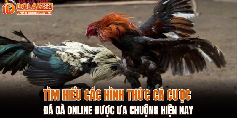Tìm hiểu các hình thức cá cược đá gà online được ưa chuộng hiện nay