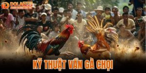 KỸ THUẬT VẦN GÀ CHỌI