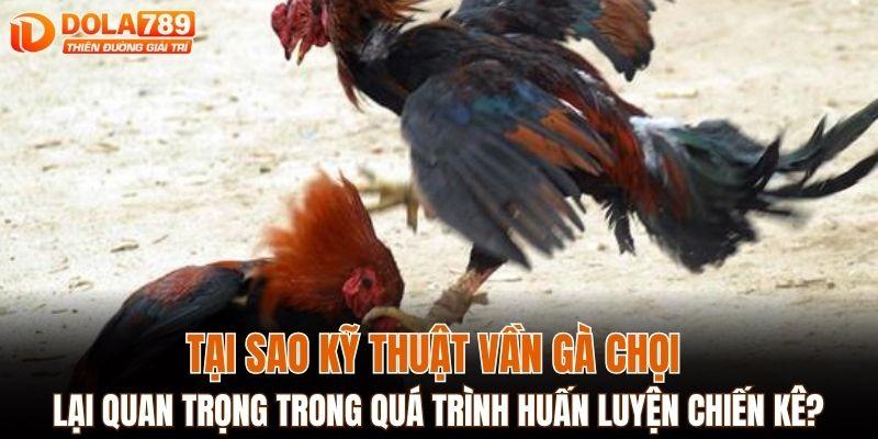 Tại sao kỹ thuật vần gà chọi lại quan trọng trong quá trình huấn luyện chiến kê?