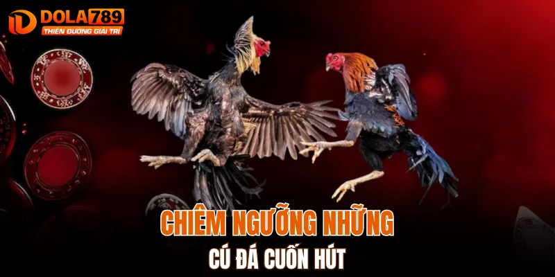 Chiêm ngưỡng những cú đá cuốn hút
